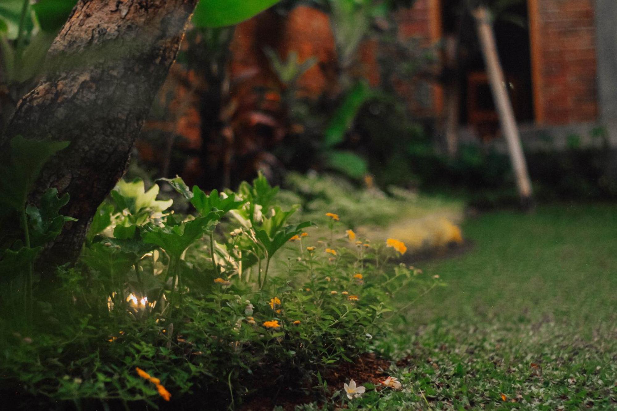 Govardan Home Stay Canggu  Bagian luar foto